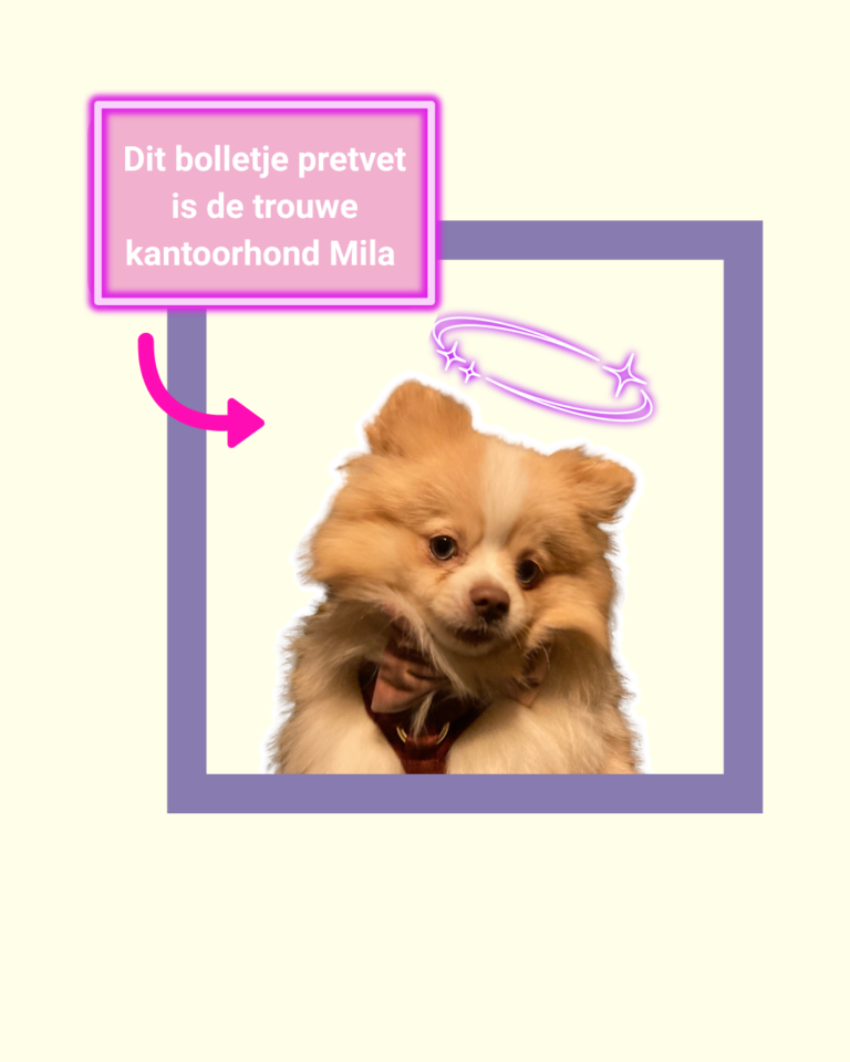 Tegendraats Online | Laura Raats | redacteur | WordPress | tekstschrijver | SEO | Cranendonck | Budel | Soerendonk | Maarheeze